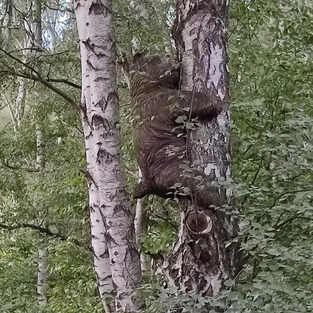Bříza, Výhled Na Zámek