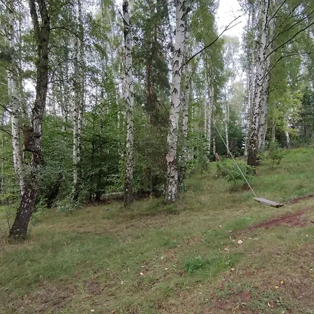 Bříza, Výhled Na Zámek