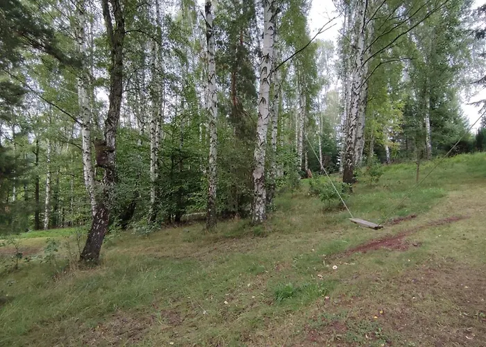 Briza, Vyhled Na Zamek